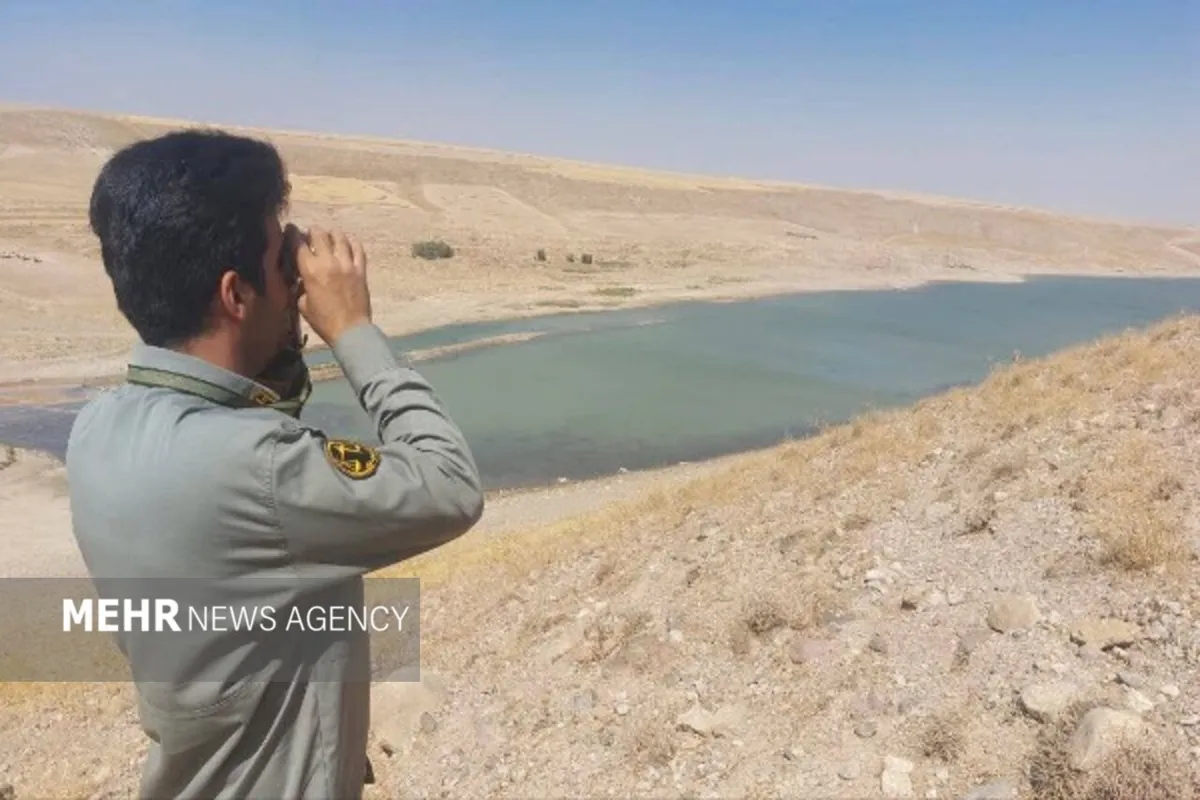 دریکوند: پایش آنفلوآنزای فوق حاد پرندگان در فاروج آغاز شد