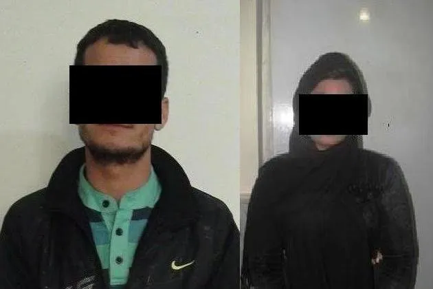 پایان ۱۰۰ میلیارد کلاهبرداری با عنوان جعلی نمایندگی یک شرکت خودروساز