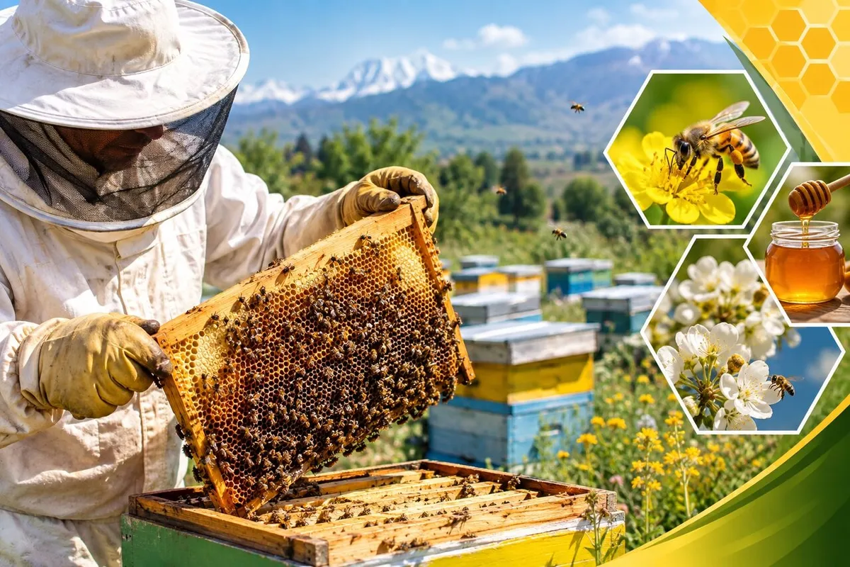 آغاز سرشماری سراسری زنبورستانهای آذربایجان شرقی از ۲ آبان