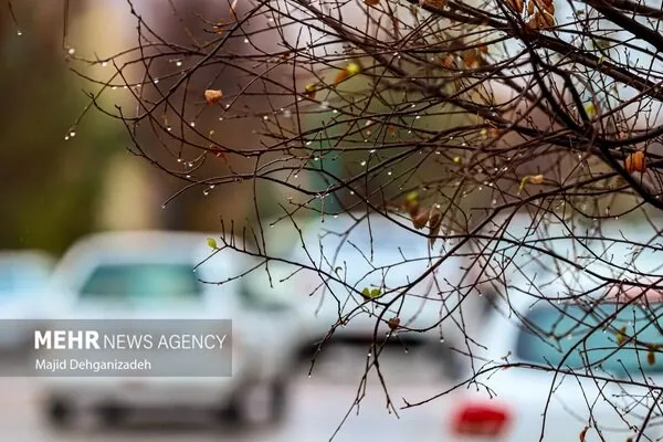 بارندگی های پاییز در خراسان جنوبی بیش از میانگین نرمال پیشبینی میشود