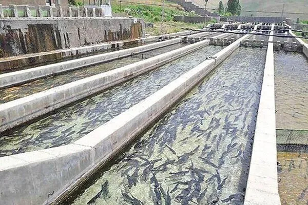 لزوم آمادگی مزارع آبزیپروری لرستان در برابر مخاطرات «ال نینو»