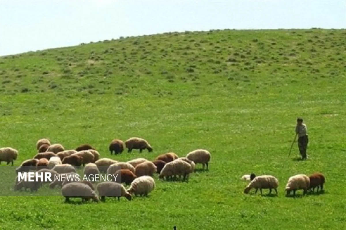 دولت عشایر را نگهبان مراتع زاگرس کند نه مشمول ممنوعیت