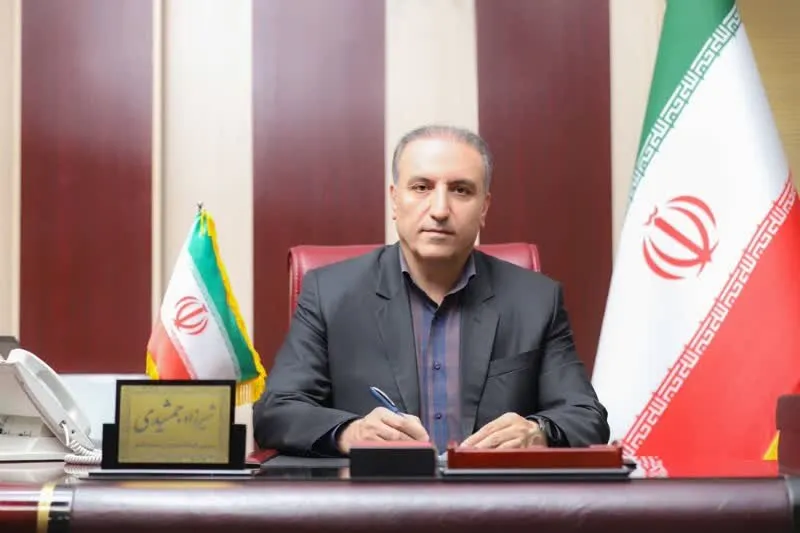 شناسایی و جمع‌آوری ۱۱۴ مورد انشعاب برق غیرمجاز در لرستان