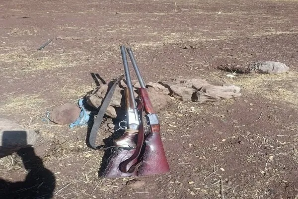 متخلفان شکار پازن وحشی در شاهرود دستگیر شدند