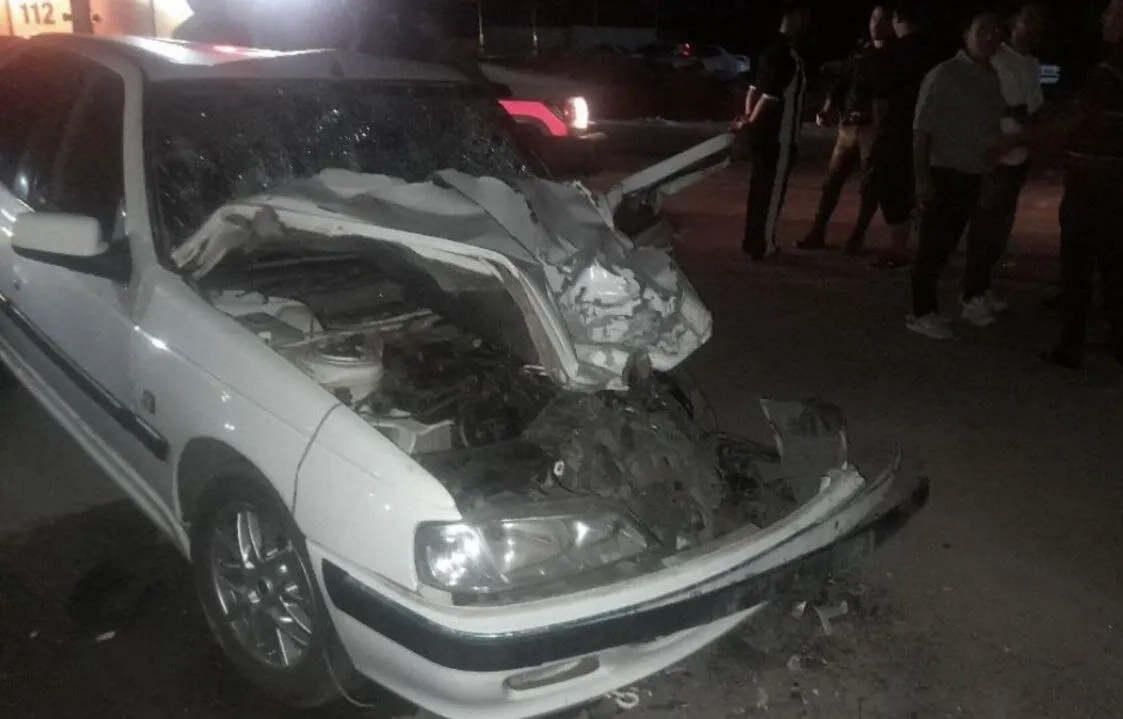 حادثه دلخراش در جاده پیرانشهر ــ نقده ؛دو جوان در آتش جان باختند