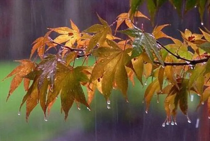 بارشهای مؤثر در اصفهان از آبان آغاز میشود؛ کاهش گرما از نیمه مهر