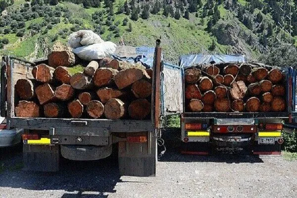 برخورد با قاچاقچیان منابع طبیعی در ۷ شهرستان مرکزی؛ ۲۱ خودرو توقیف شد
