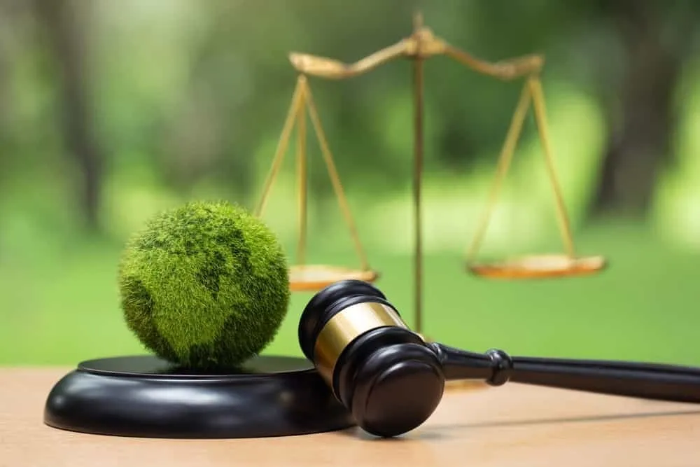 ثبت ۴۸۰ پرونده زیستمحیطی و رفع تصرف ۲۵ هکتار اراضی ملی در خوزستان