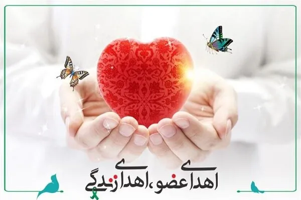 اهدای عضو بانوی دیباجی به بیماران نیازمند