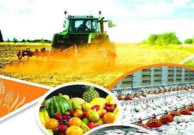 ثبت اشتغال برای یکهزار و 320 نفر در بخش کشاورزی سیستان و بلوچستان