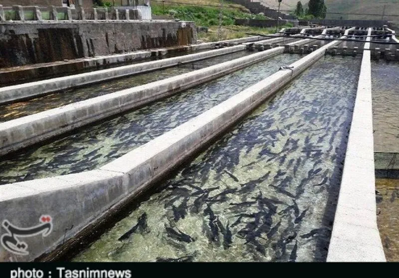 اخبار استان چهارمحال و بختیاری , اخبار شهرکرد , 