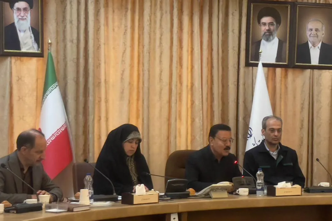 محمدی: بانوان در مدیریت مصرف انرژی نقش محوری دارند