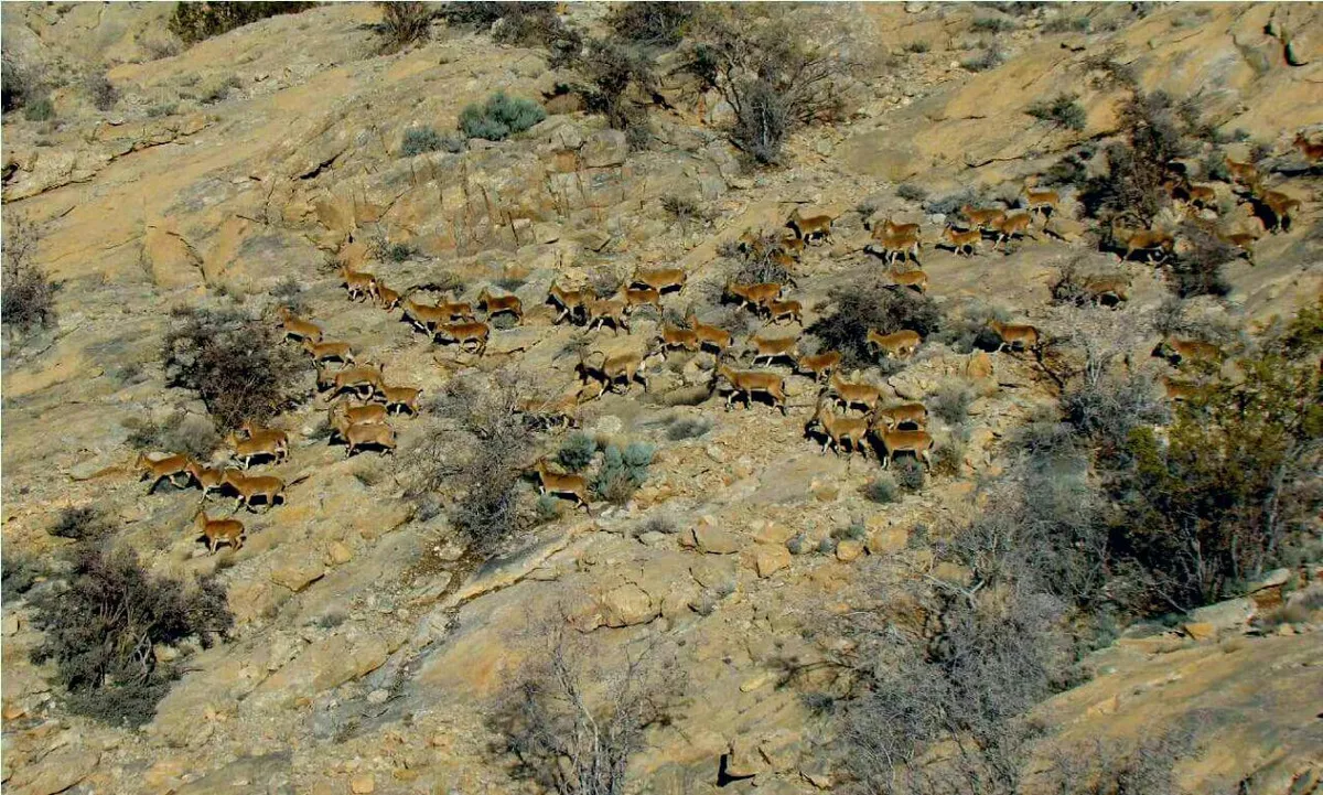 هیچ مجوزی برای معدنکاری در «خبر» صادر نشده