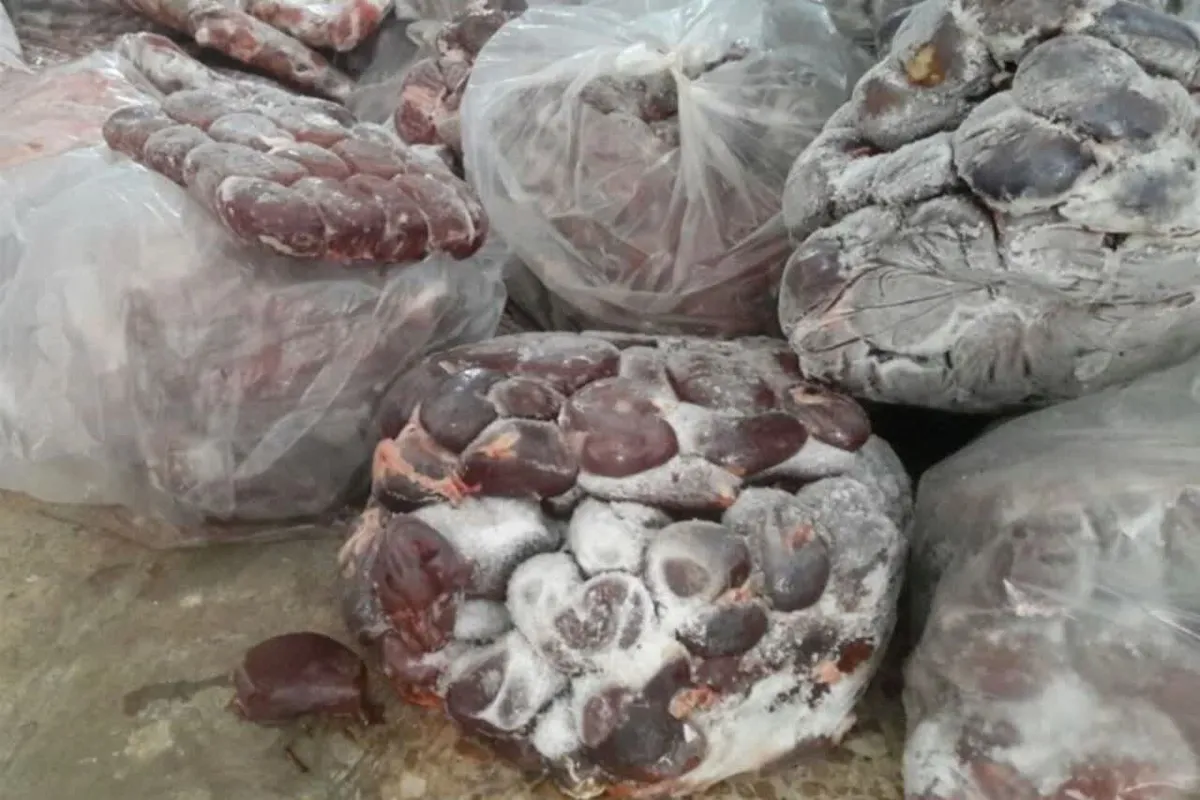 توقیف محموله گوشت منجمد فاقد هویت در محور کاشمر