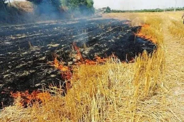 شناسایی کشاورزان متخلف بهدلیل سوزاندن کاه و کلش در خرمآباد
