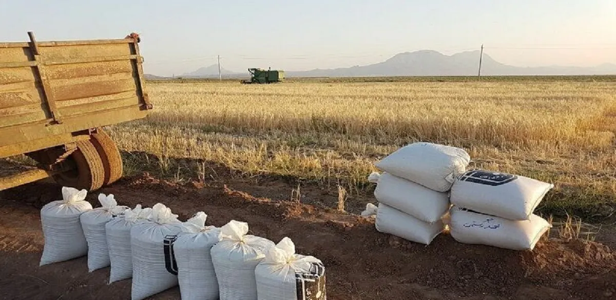 زکات پرداختی آذربایجانغربی ۳۷ درصد رشد کرد