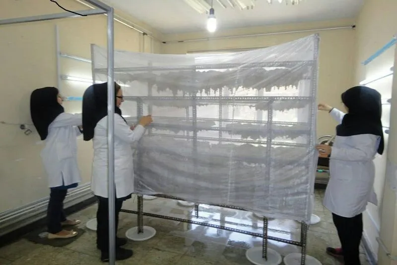۱۵۵۰ هکتار از مزارع آذربایجانغربی زیر پوشش حشرات مفید قرار گرفت