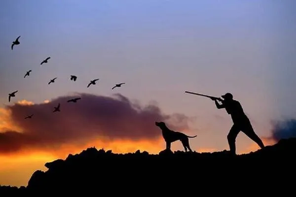 تعیین ۷ میلیارد و ۵۷۲ میلیون خسارت زیست‌محیطی در لرستان