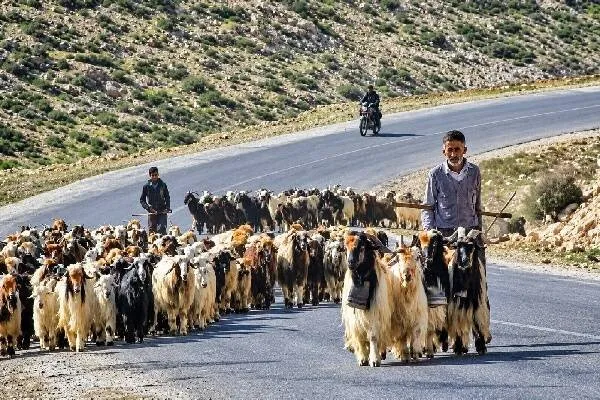 حضور ۳۰ هنرمند عشایری ایلام در نمایشگاه ملی روستا و عشایر تهران