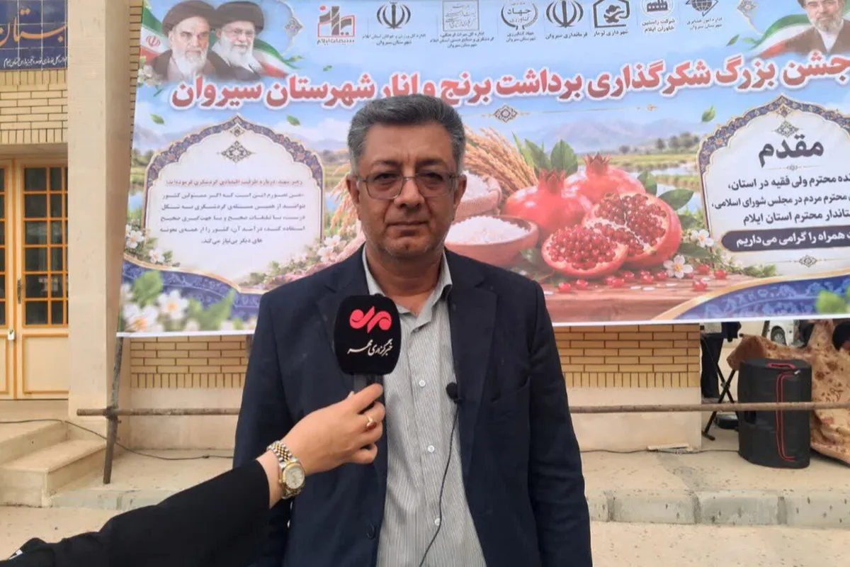 پیشبینی برداشت ۴۰۰۰ تن برنج سفید در شهرستان سیروان