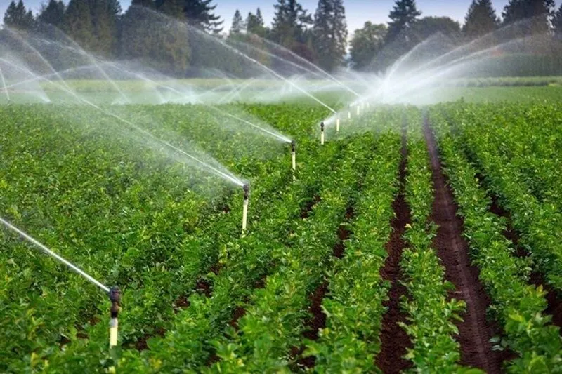 آغاز عملیات کشت پاییزه در 546 هزار هکتار از اراضی آذربایجان شرقی