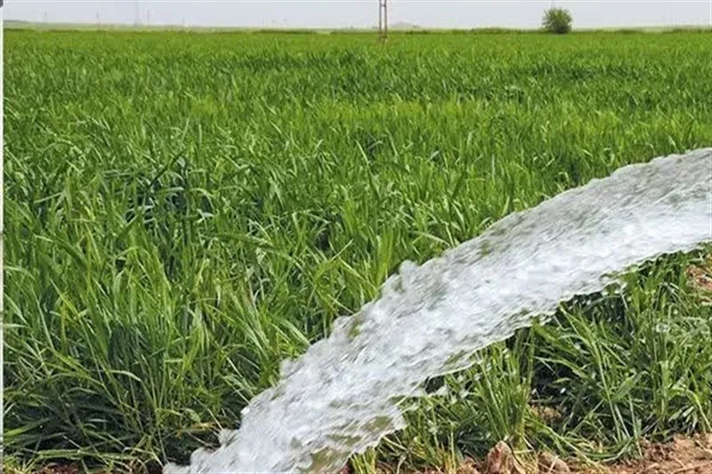 اخبار اسلامشهر , کشاورزی , احیای منابع زیرزمینی آب ,