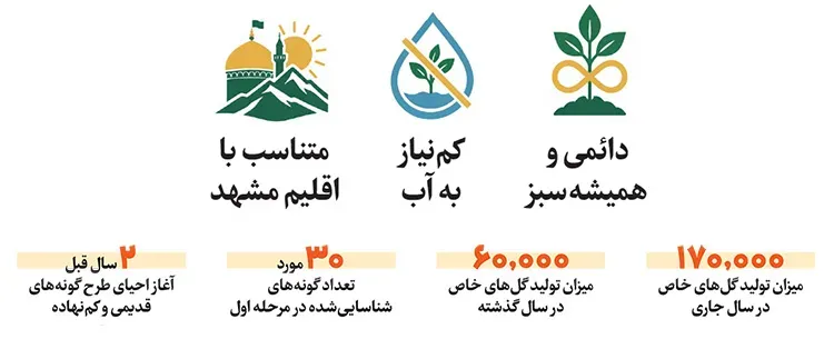 کاشت گل‌های سازگار و ماندگار در فضای سبز شهری مشهد