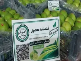 رونمایی از کد شناسه محصولات کشاورزی در جهرم