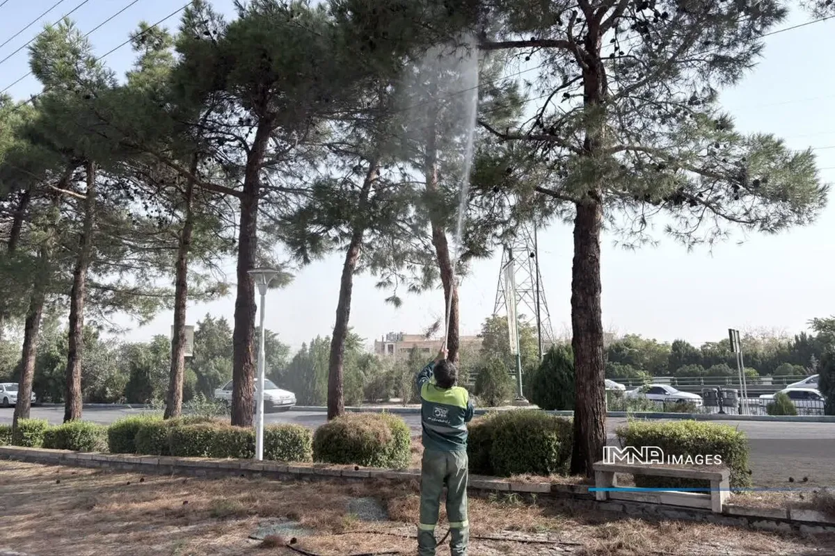 پایش ۱۲۲ هزار درخت در پارک کوهستانی صفه برای کنترل آفات
