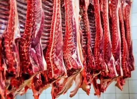 تولید بیش از ۳۰ هزار تن گوشت قرمز در فارس