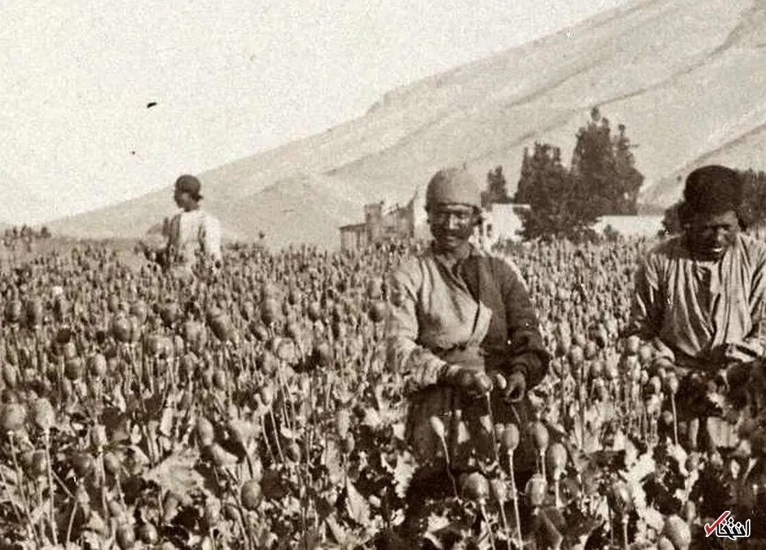وقتی تریاک منبع عمده درآمد ایران بود / بازخوانی سفرنامه نخستین دیپلمات ژاپنی در تهران