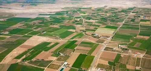 بیش از ۲۸۹هکتار از اراضی ملی قزوین آزاد سازی شد