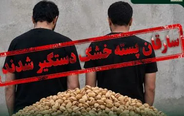 سارقان پسته در بهاباد دستگیر شدند