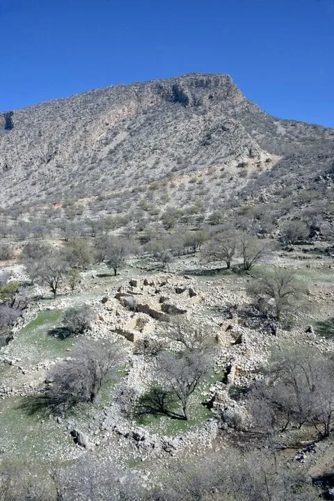 «رویین»، روستایی متروک و فراموششده در جنگل دشتبرم شهرستان کازرون