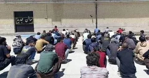 جمعآوری ۴۲۲ اتباع غیرمجاز در شهرستان زرندیه