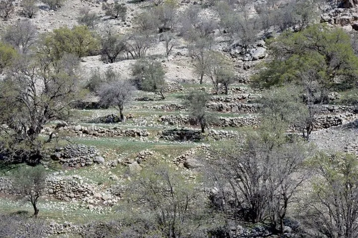 «رویین»، روستایی متروک و فراموششده در جنگل دشتبرم شهرستان کازرون