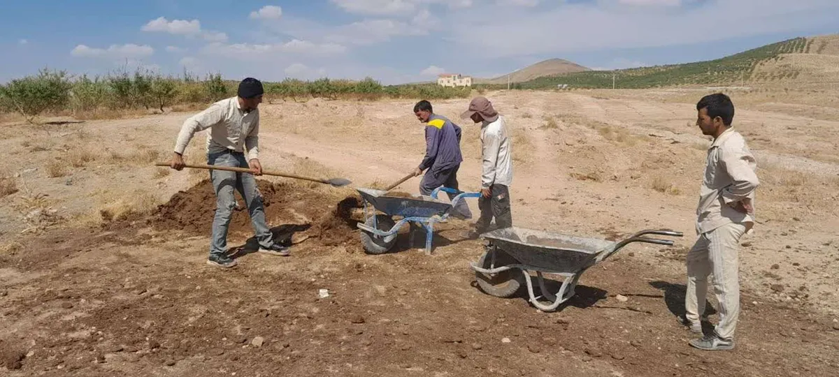 کشت ۱۵ ژنوتیپ امیدبخش بادام در استان چهارمحال و بختیاری
