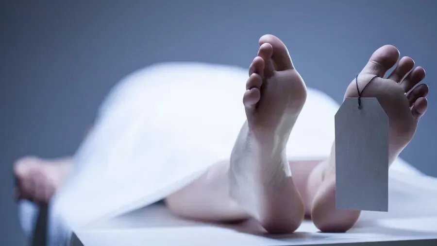مسمومیت با آبمیوه و سرقت خودرو/ جزئیات قتل مرد ۷۰ ساله در مسیر سفر
