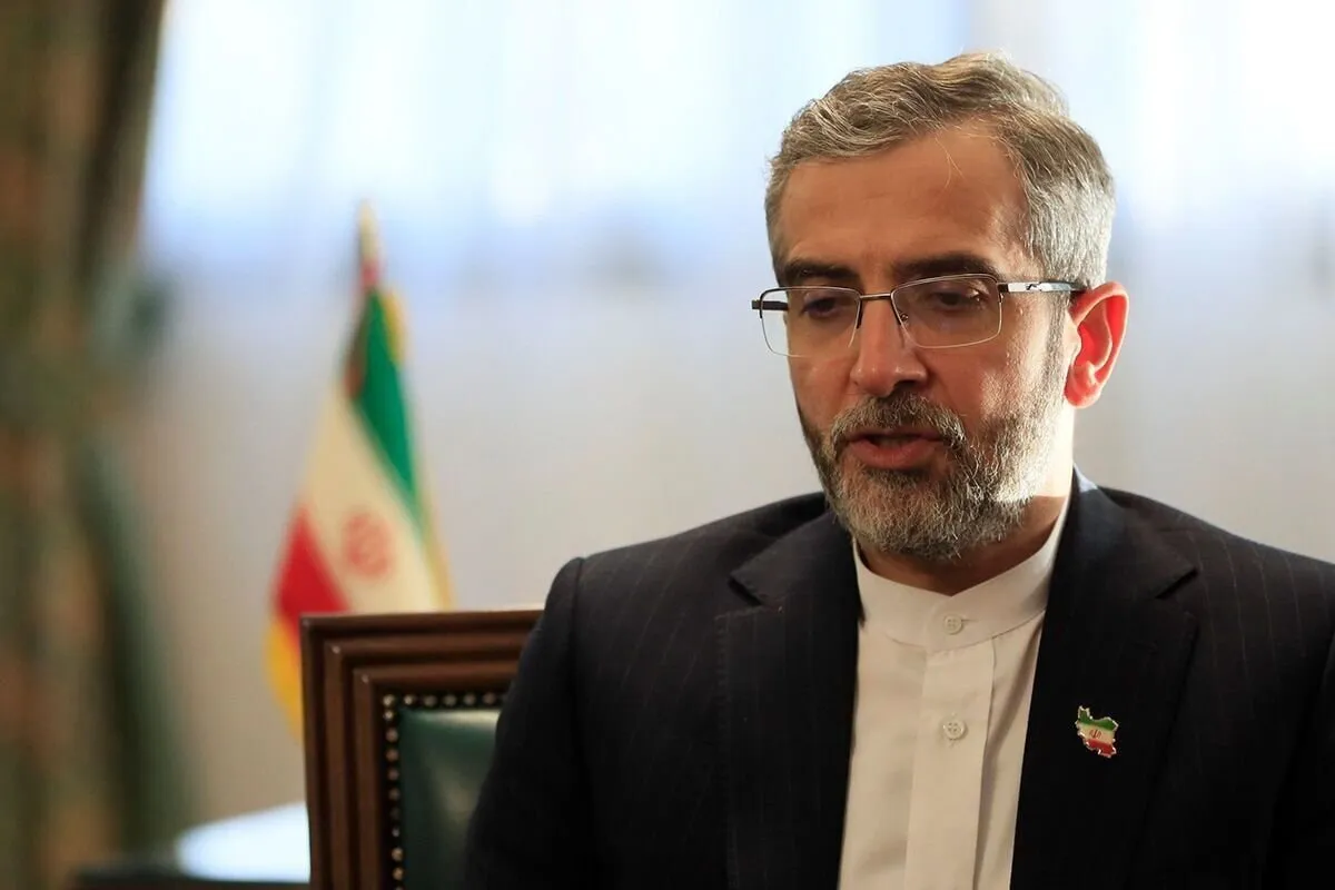 باقری کنی خبر رویترز را تائید کرد؛ مقامهای ارشد عربستان، پاکستان و ترکیه به تهران سفر میکنند