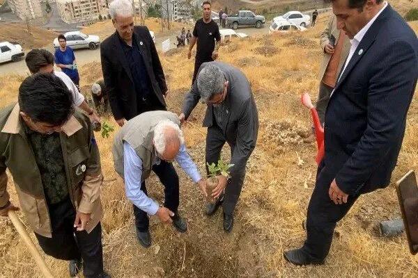 «پدر بلوط ایران» در دامنه آبیدر سنندج نهال بلوط کاشت