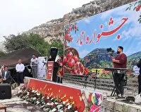 جشنواره شکرانه برداشت انار در روستای منگره اندیمشک برگزار شد
