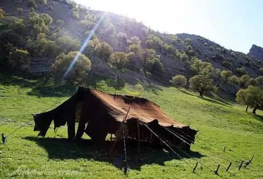 عشایر کرمانشاه تا ۳۰ آبان وارد مراتع قشلاقی نشوند