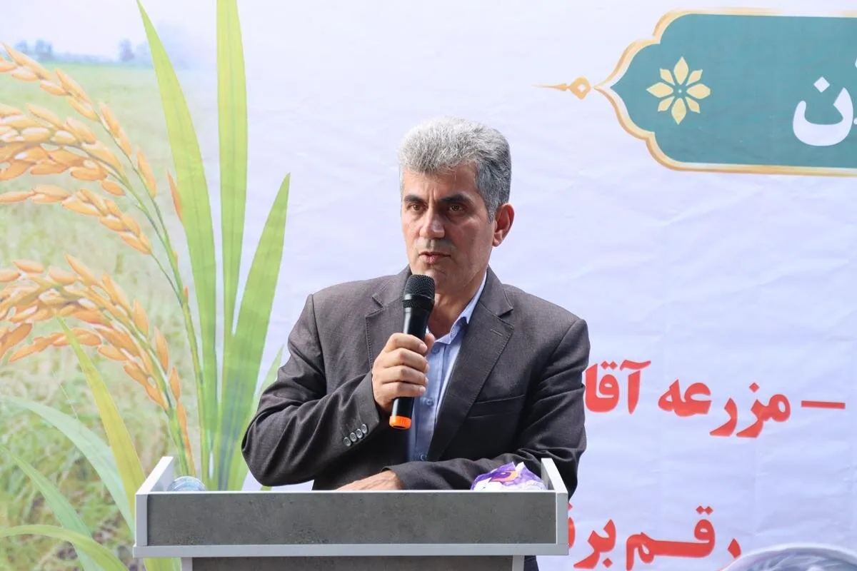 تحقیق برای تجاریسازی پرورش گوسفند تالشی در گیلان