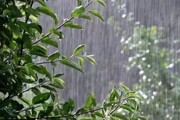 آغاز بارش باران در اهواز