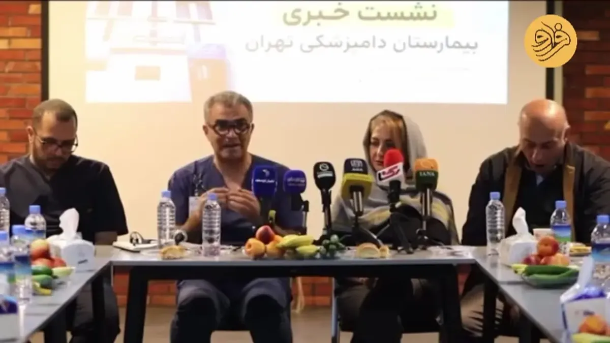 نظر رئیس جامعه دامپزشکی درباره پرسه روباه‌ها در تهران