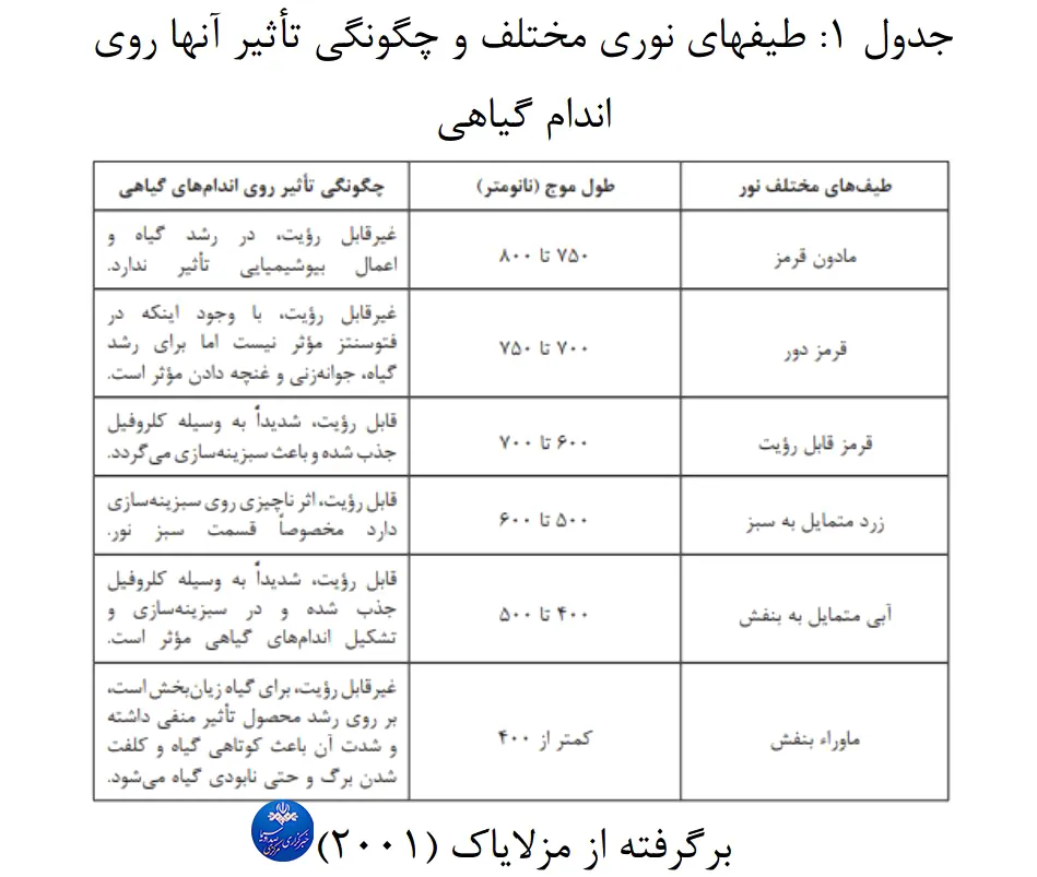 تامین انرژی پایدار گیاهان با استفاده از نور مصنوعی در کشتهای گلخانهای