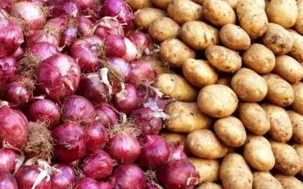 صادرات بیش از ۱۰۲ هزار تن گوجهفرنگی و پیاز از فارس به کشورهای خارجی