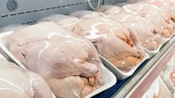 مشکلی در تامین گوشت مرغ در استان آذربایجانغربی نیست