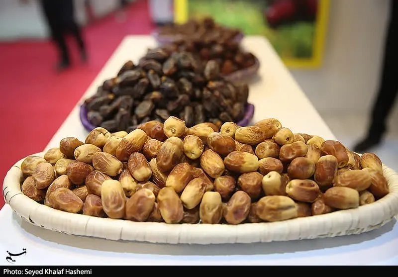 نابودی 25 هزار اصله نخل در آتشسوزیهای خوزستان