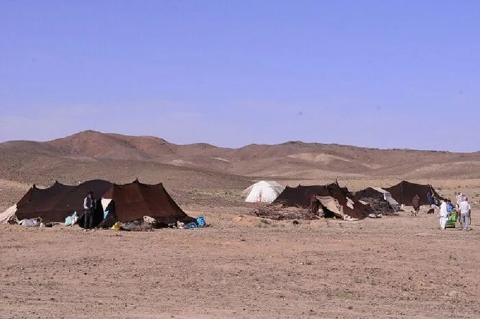 افزایش بسته های حمایتی به عشایر شهرستان هامون